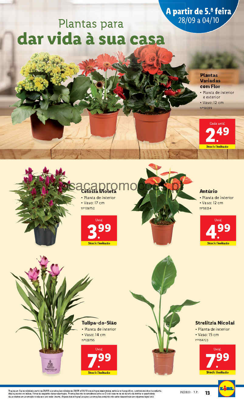 Antevisão Folheto LIDL Mercado das Flores Promoções 28 setembro a 4 outubro  - O Caça Promoções